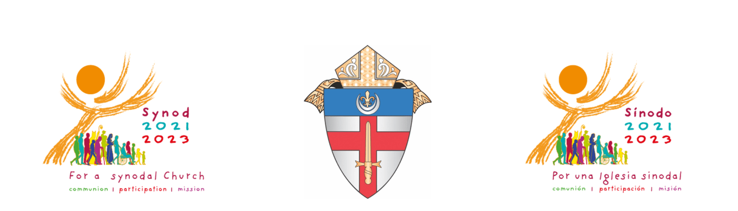 Synod English Spanish Logos Web Banner