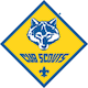 Cub Scouts